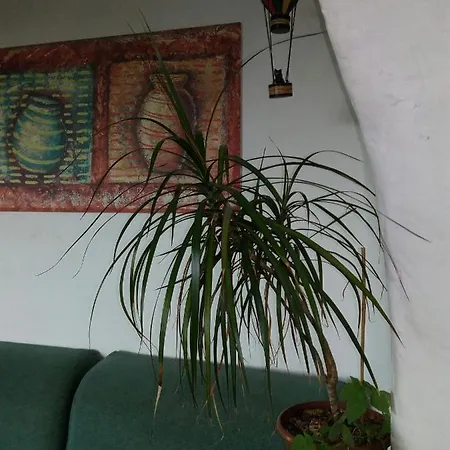 Prázdninový dům Casa Nanu *